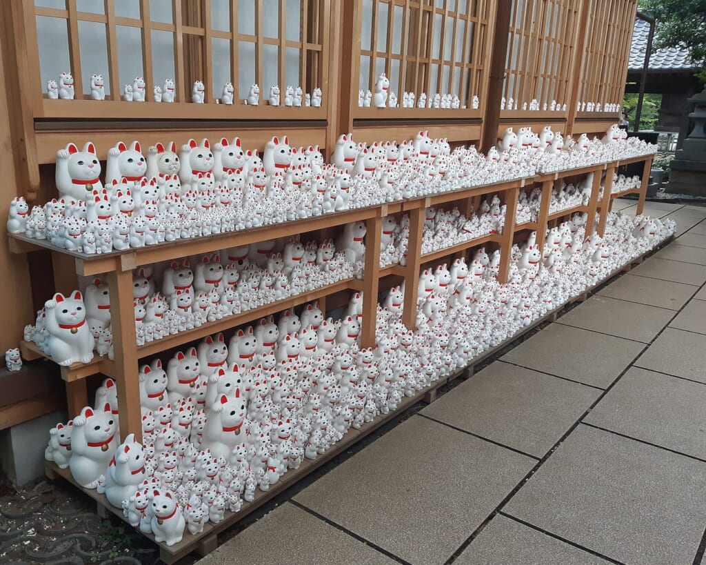 豪徳寺の棚に並ぶたくさんの白い招き猫