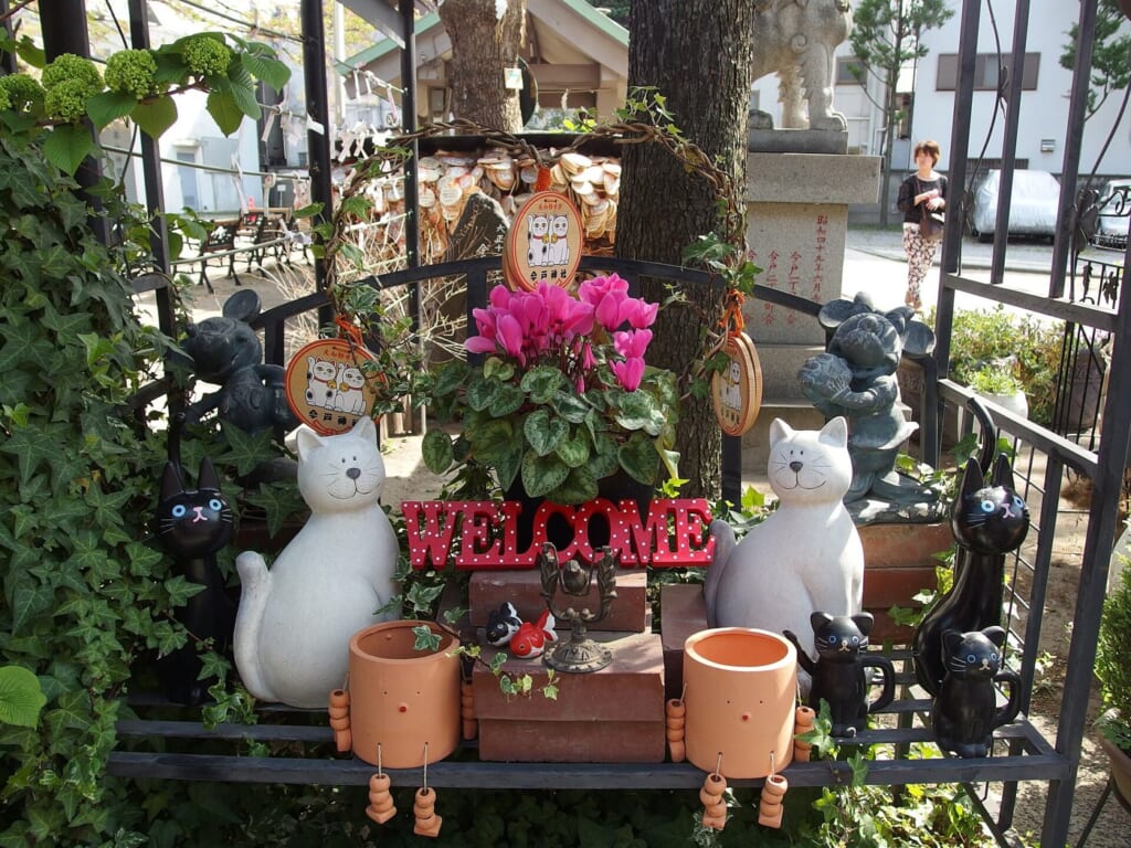 今戸神社の境内に飾られた招き猫と花