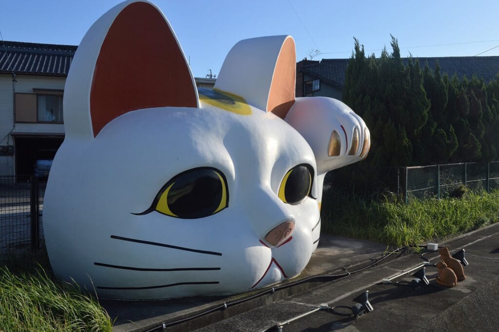 常滑のとこにゃんを正面から見た写真