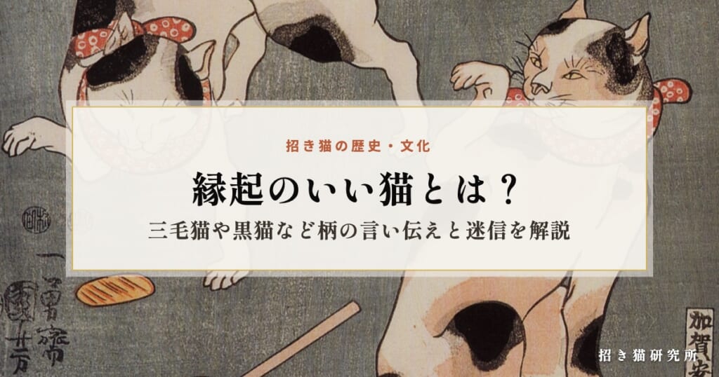 縁起のいい猫とは？三毛猫や黒猫など柄の言い伝えと迷信を解説