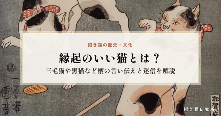 縁起のいい猫とは？三毛猫や黒猫など柄の言い伝えと迷信を解説